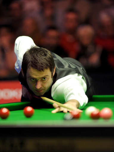 了强有力的 了强有力的