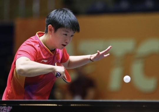 还是升班马 还是升班马